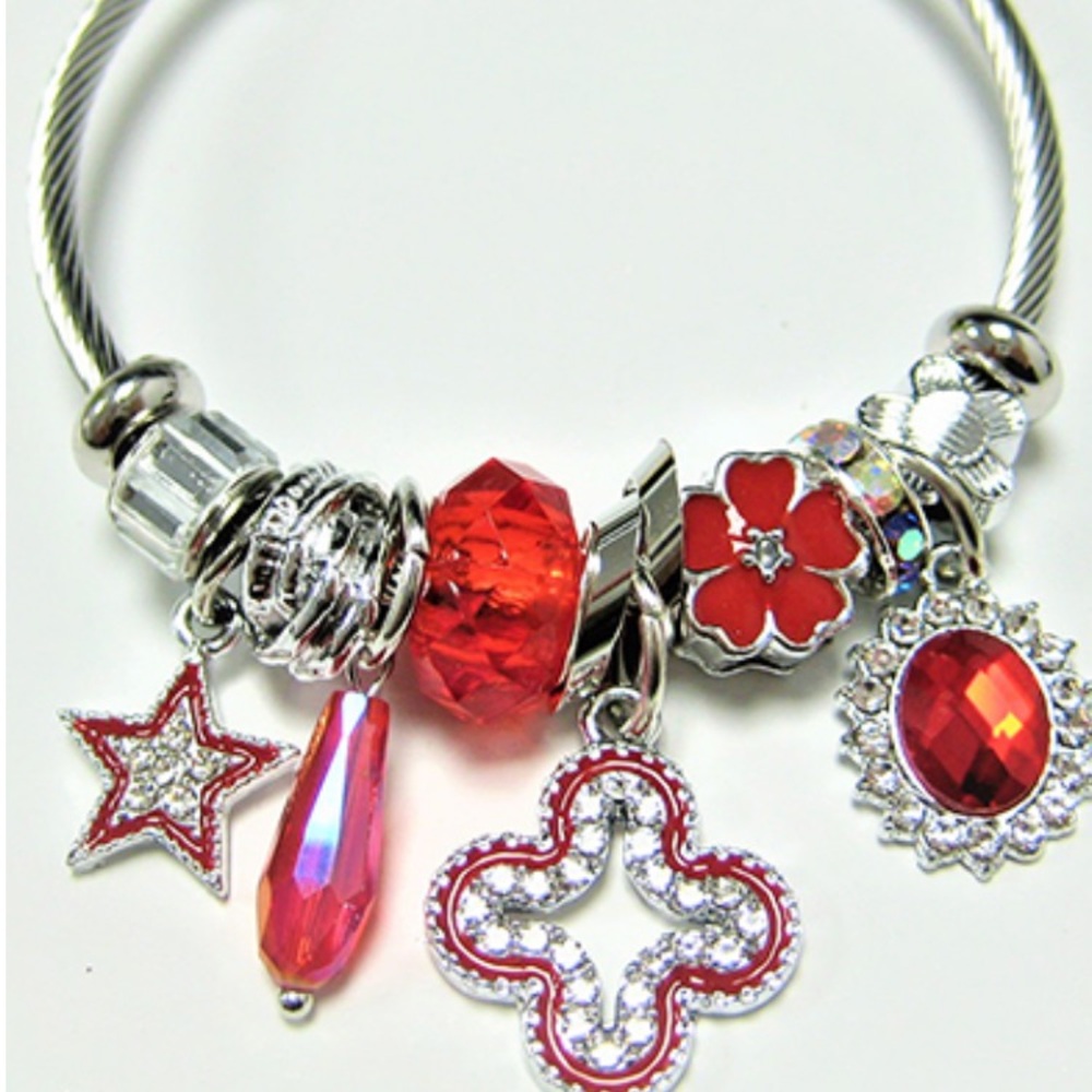 Red and Silver Charm Bracelet